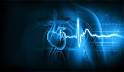 Cardiology